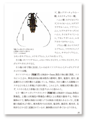 ロゴ3